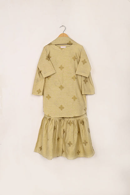 TKF-268-Skin - Kids 3Pc Paper Cotton Embroidered Dress