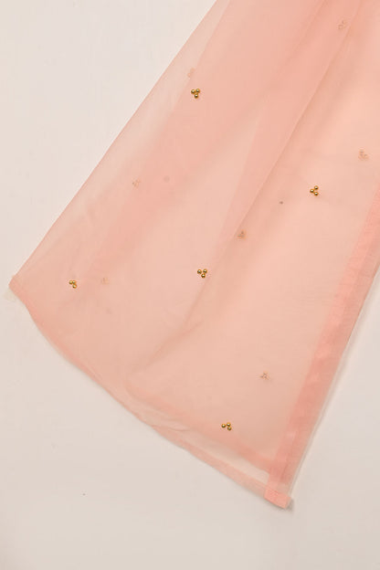 RTW-271-Peachy Pink - 3Pc Ready to Wear Embroidered Premium Adda Work Organza Dress