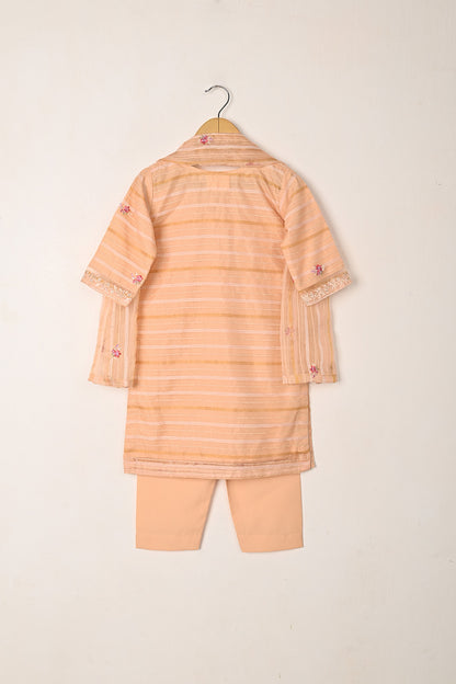 TKF-290-Peach - Kids 3Pc Ready to Wear Jacquard Organza Embroidered Dress