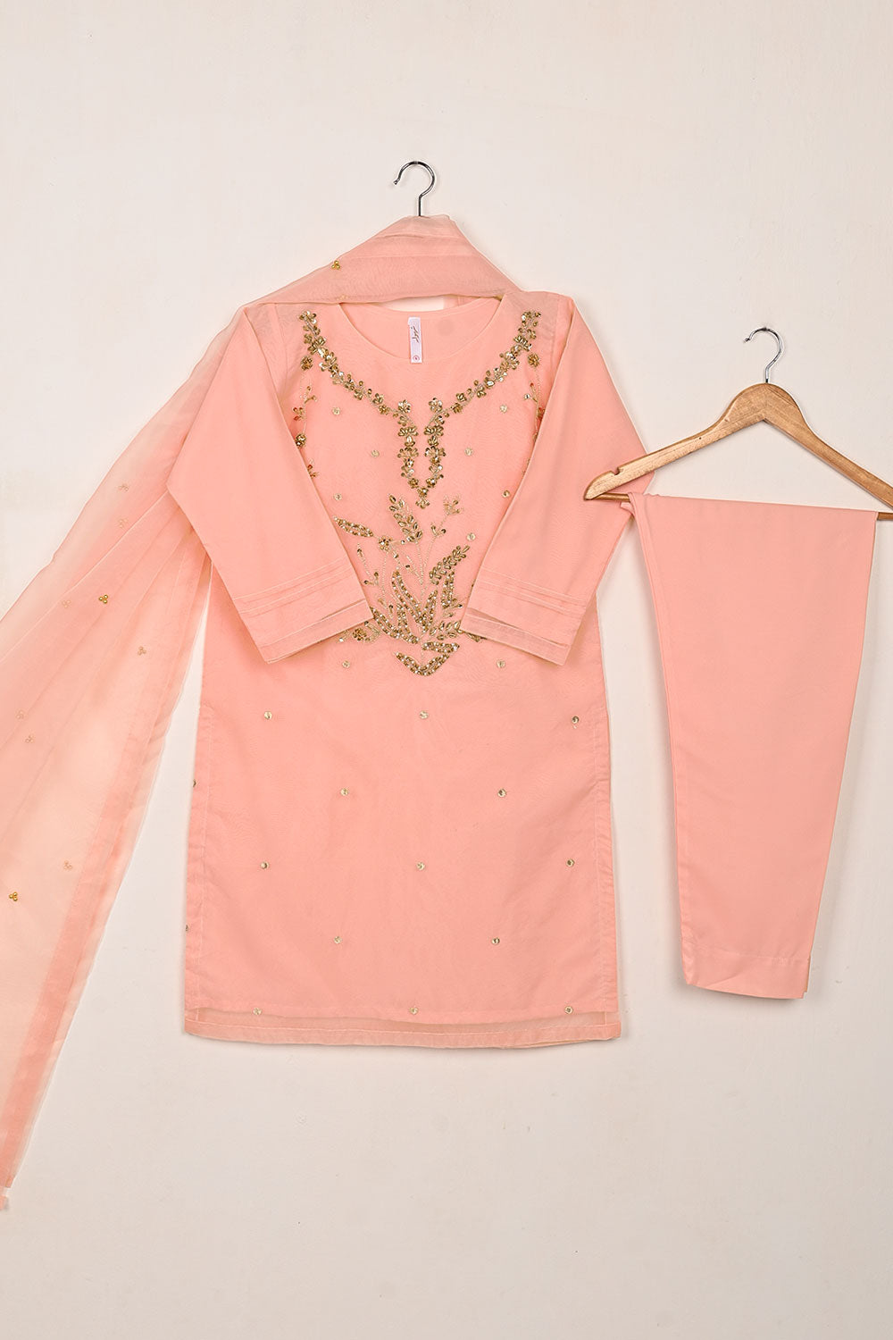 RTW-269-Peachy Pink - 3Pc Ready to Wear Embroidered Premium Adda Work Organza Dress