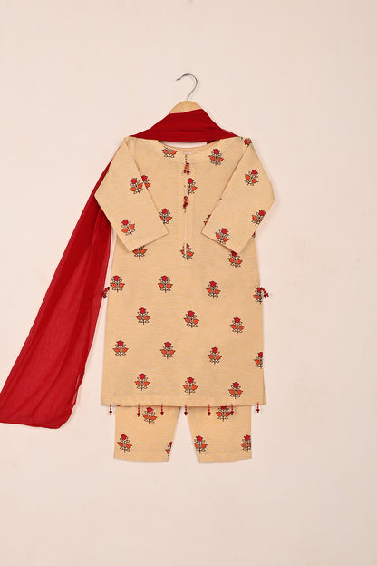 TKF-204-Skin - Kids 3Pc Ready to Wear Paper Cotton Slub Printed Dress