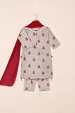 TKF-207-Gray - Kids 3Pc Ready to Wear Paper Cotton Slub Printed Dress