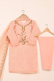 RTW-208-Peachy Pink - 3Pc Ready to Wear Embroidered Adda Work Organza Dress