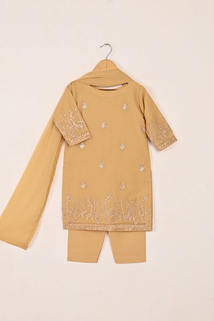 TKF-142-Skin - Kids 3Pc Chiffon Embroidered Formal Dress