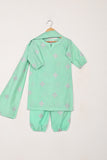TKF-229-Sea Green - Kids 3Pc Paper Cotton Embroidered Dress