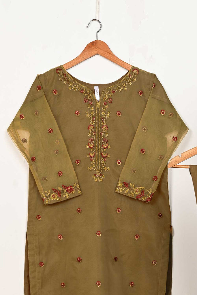STP-148B-Brown - 2Pc Organza Embroidered With Malai Trouser