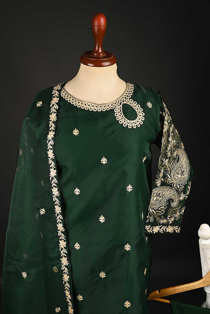 RTW-131-Green - 3Pc Stitched Organza Dress