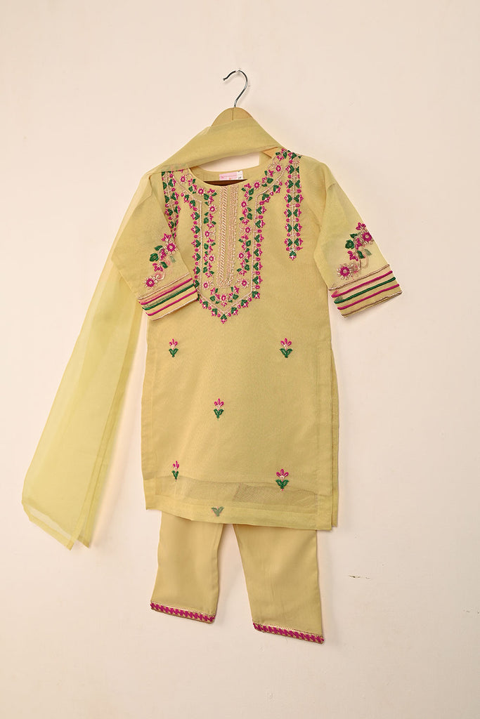 TKF-132-Skin - Kids 3Pc Javeria Net Embroidered Formal Dress