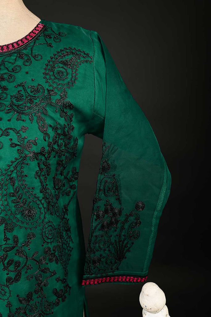 RTW-129-Green - 3Pc Stitched Organza Dress