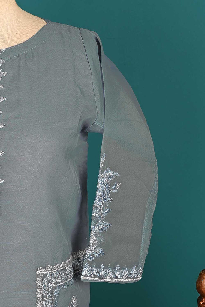 RTW-156-Grey - 3Pc Stitched Organza Embroidered Dress