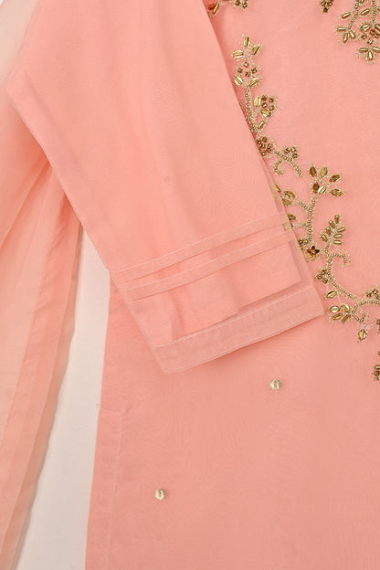 RTW-271-Peachy Pink - 3Pc Ready to Wear Embroidered Premium Adda Work Organza Dress