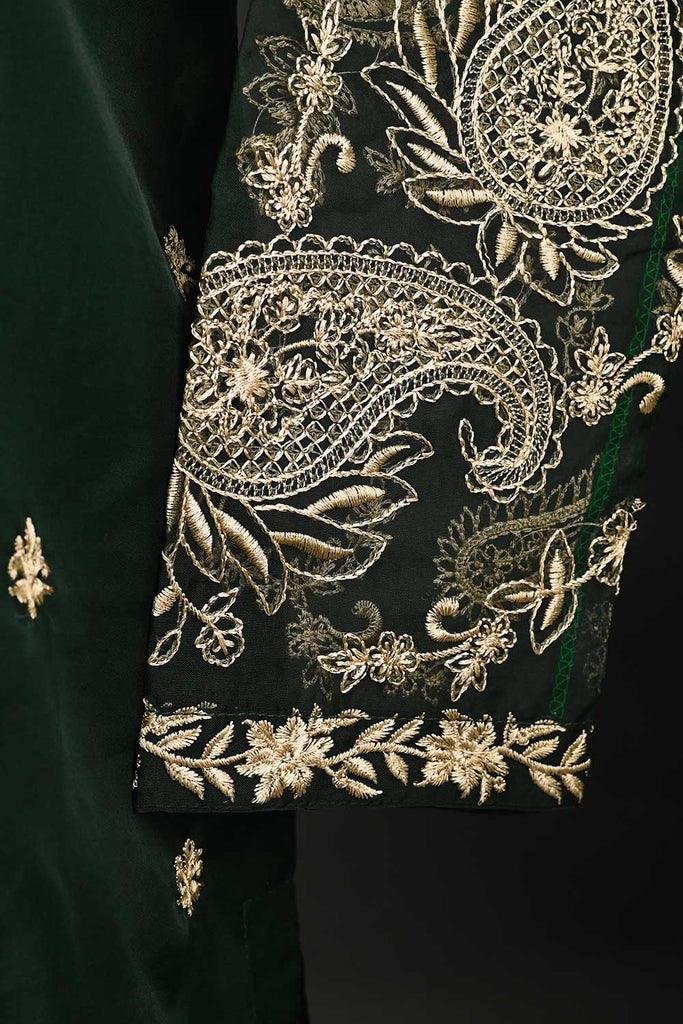 RTW-131-Green - 3Pc Stitched Organza Dress