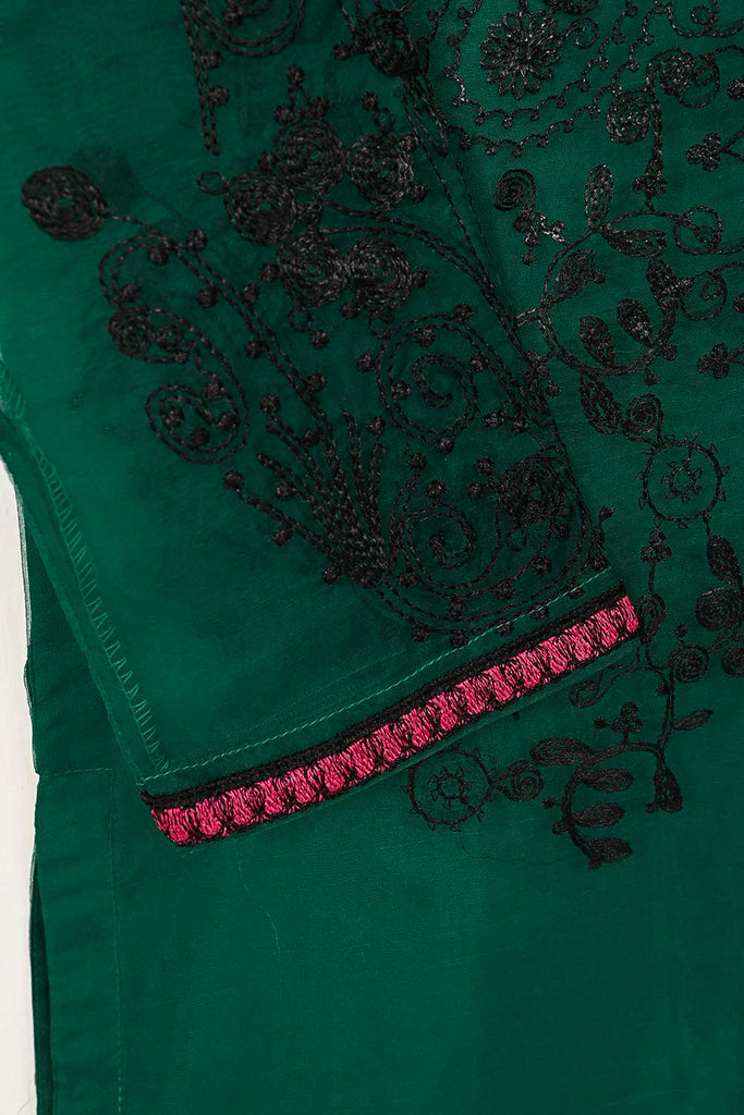 STP-141A-Green - 2Pc Organza Embroidered With Malai Trouser