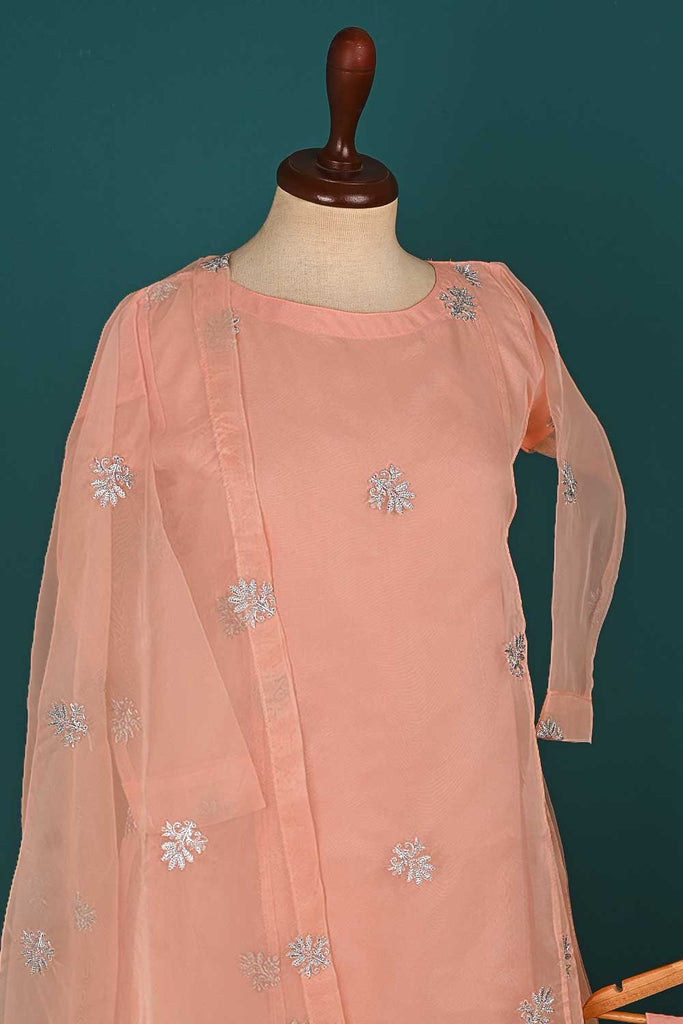 RTW-146-Peach - 3Pc Stitched Organza Dress