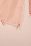 RTW-204-Pink - 3Pc Ready to Wear 3Pc Javeria Net Embroidered  Dress