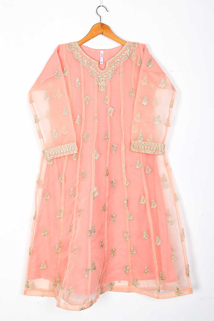 TS-228A-Pink - Organza Embroidered Stitched Frock