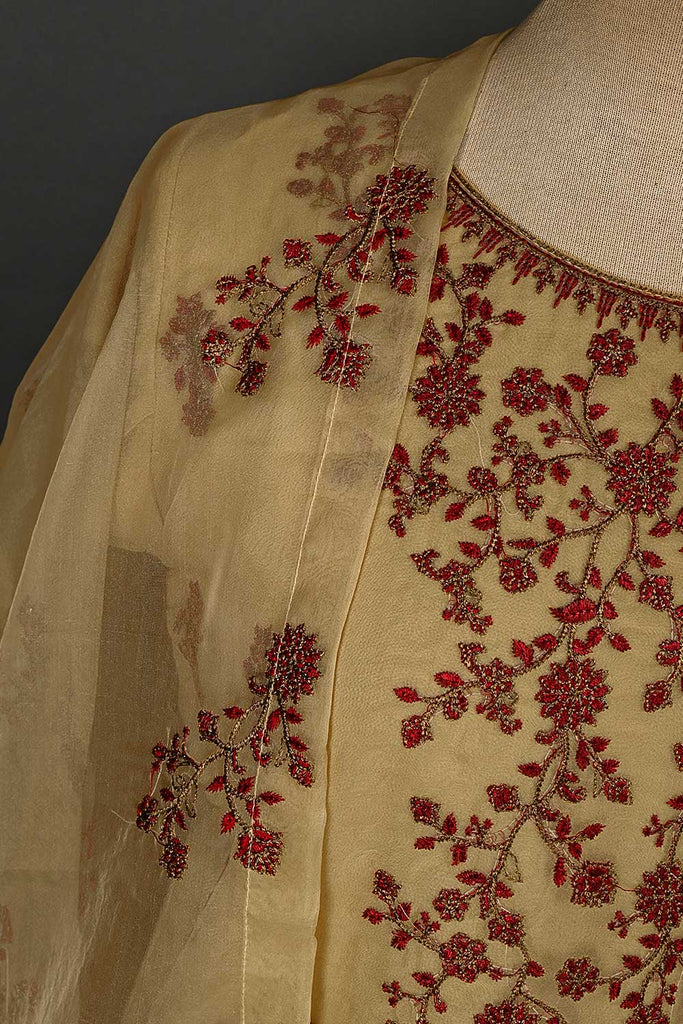 RTW-51-Skin -  3Pc Stitched Embroidered Organza Dress