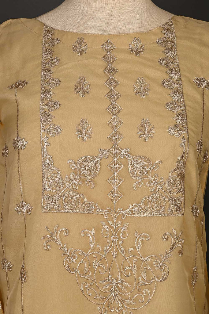 RTW-42-Skin -  3Pc Stitched Embroidered Organza Dress