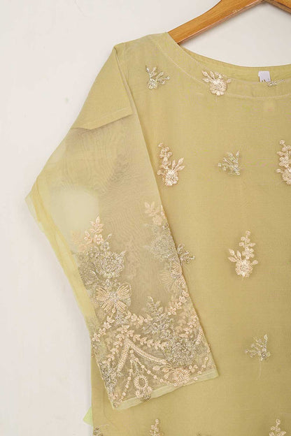 STP-053A-Skin - 2Pc Organza Embroidered With Malai Trouser