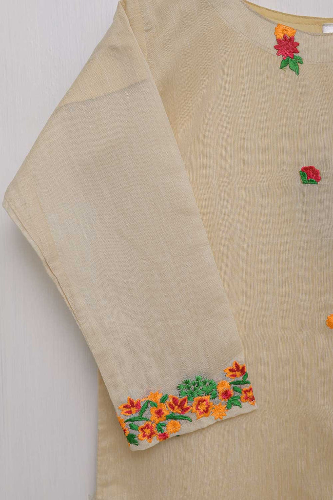 TS-170-Skin - Paper Cotton Embroidered Kurti