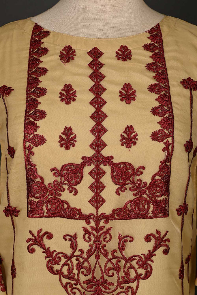 RTW-43-Skin -  3Pc Stitched Embroidered Organza Dress