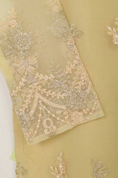 STP-053A-Skin - 2Pc Organza Embroidered With Malai Trouser