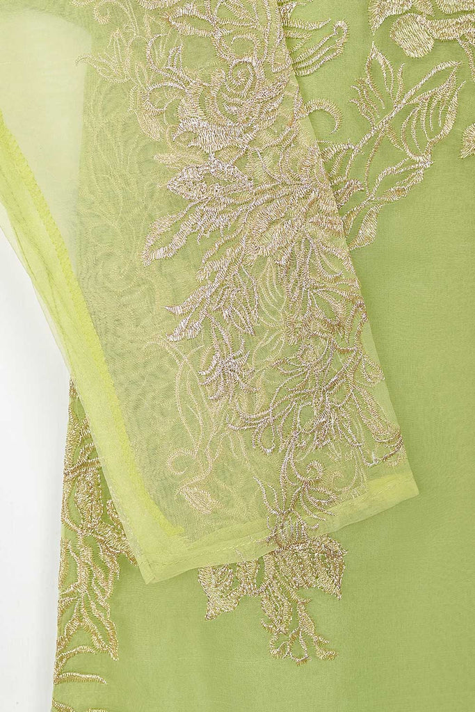 STP-072C-Pista - 2Pc Organza Embroidered With Malai Trouser