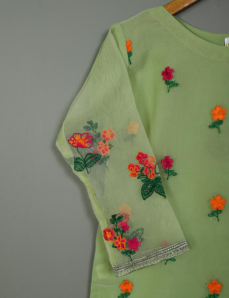 TS-117A-Green - Organza Embroidered Stitched Kurti