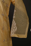 RTW-42-Skin -  3Pc Stitched Embroidered Organza Dress