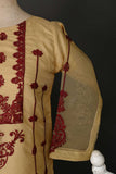 RTW-43-Skin -  3Pc Stitched Embroidered Organza Dress