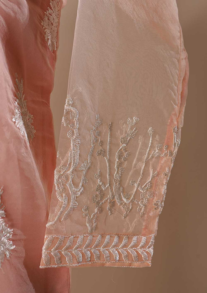 RTW-35A-Pink -  3Pc Stitched Organza Dress
