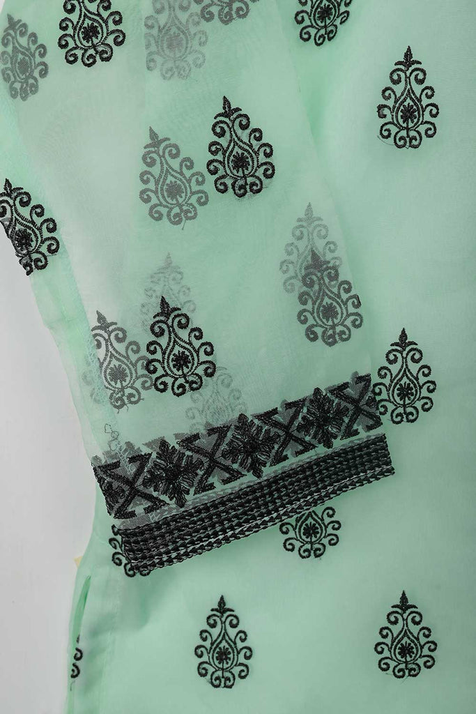STP-073B-AquaGreen - 2Pc Organza Embroidered With Malai Trouser