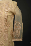 RTW-69-Skin -  3Pc Stitched Embroidered Organza Dress