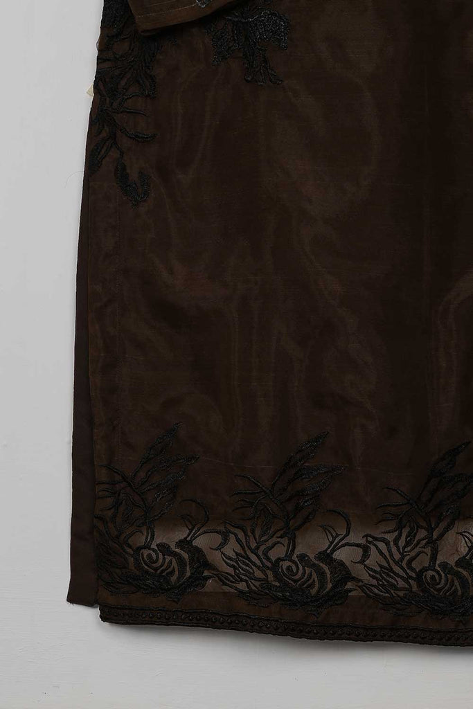 STP-072A-Dark Brown - 2Pc Organza Embroidered With Malai Trouser