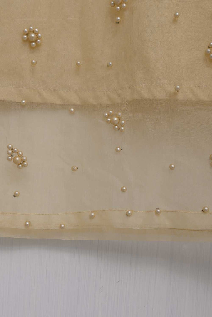 Organza Stitched Kurti - Organza Pearls (T20-042A-Skin)