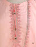 RTW-28-Pink -  3Pc Stitched Embroidered Organza