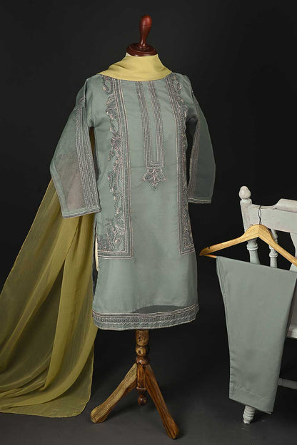 RTW-104-Grey - 3Pc Stitched Embroidered Organza Dress
