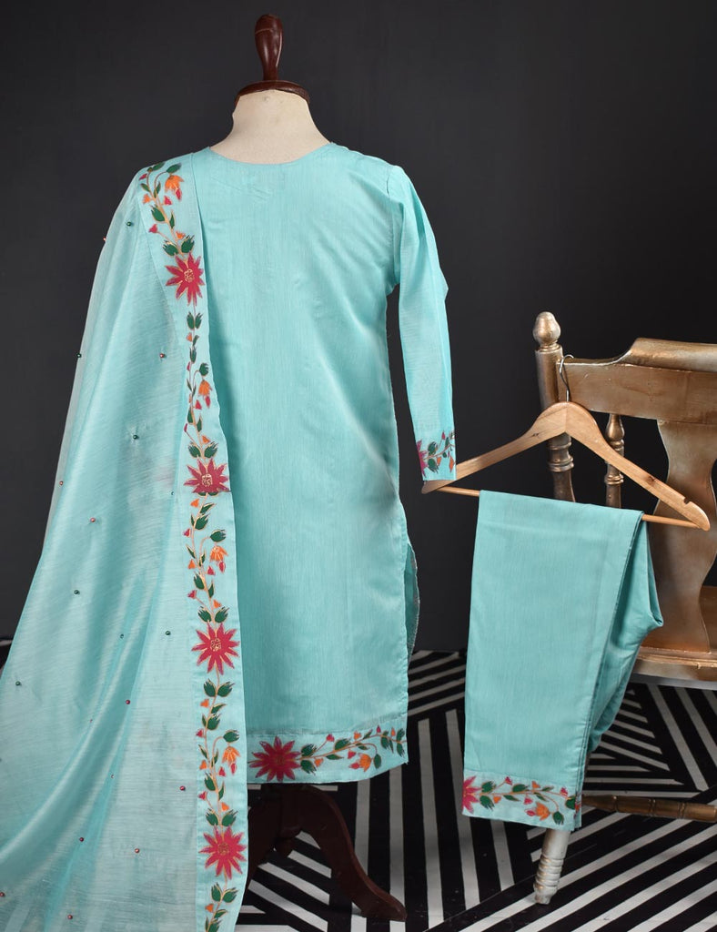 3 Pc Stitched Paper Cotton Chikankari Embroidered Dress with Beautiful Printed Borders - Charismatic Vibes (RTW-8-SkyBlue)