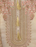 Semi Formal Paper Cotton Fabric Embroidered Stitched Kurti - Equinox (T20-040A-Skin)