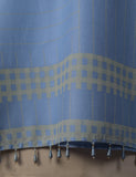 TS-105C-Sky-Blue - Daisy bloom - Cotton Printed Stitched Kurti